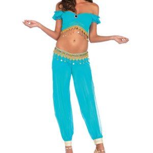 LEG AVENUE JASMINE COSTUME